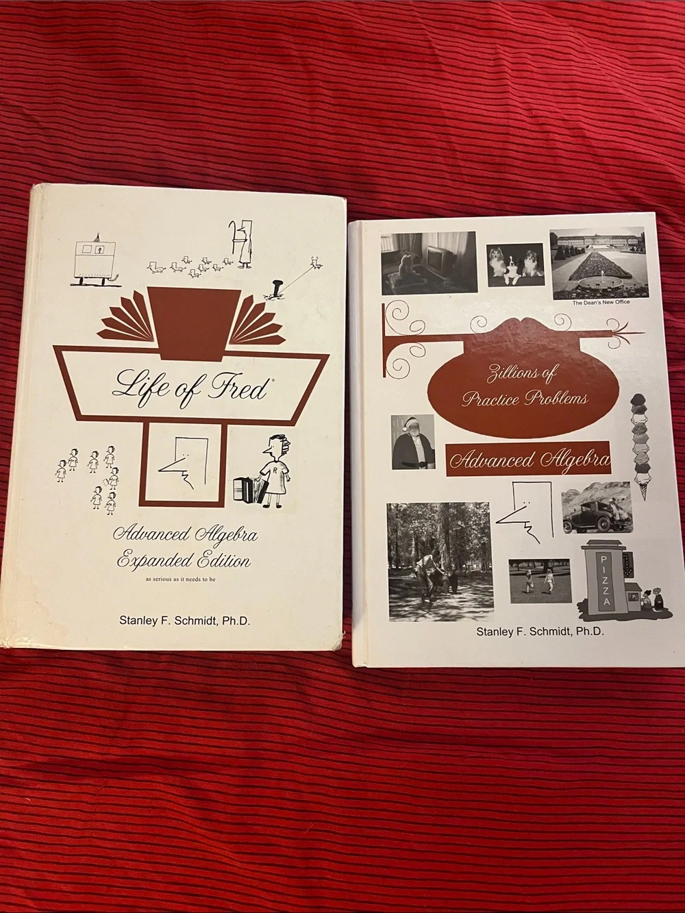 Life of Fred Advanced Algebra Set by Stanley F. Schmidt - White and Brown Covers